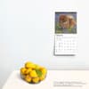 image Pomeranian 2025 Mini Wall Calendar