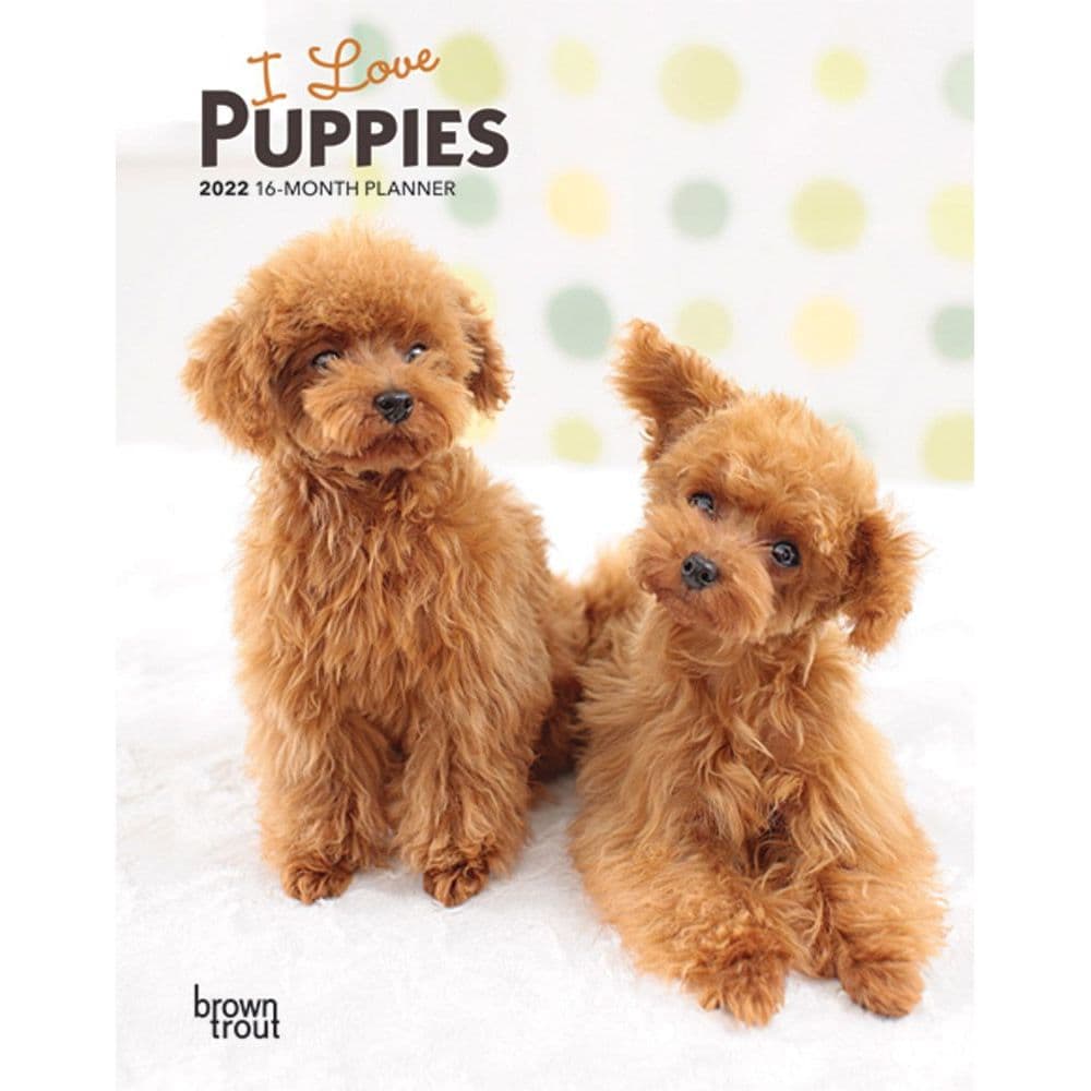 I Love Puppies 2022 Engagement