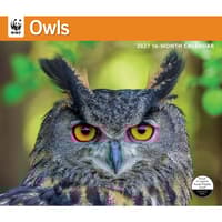 image WWF Owls 2027 Wall Calendar Main Image