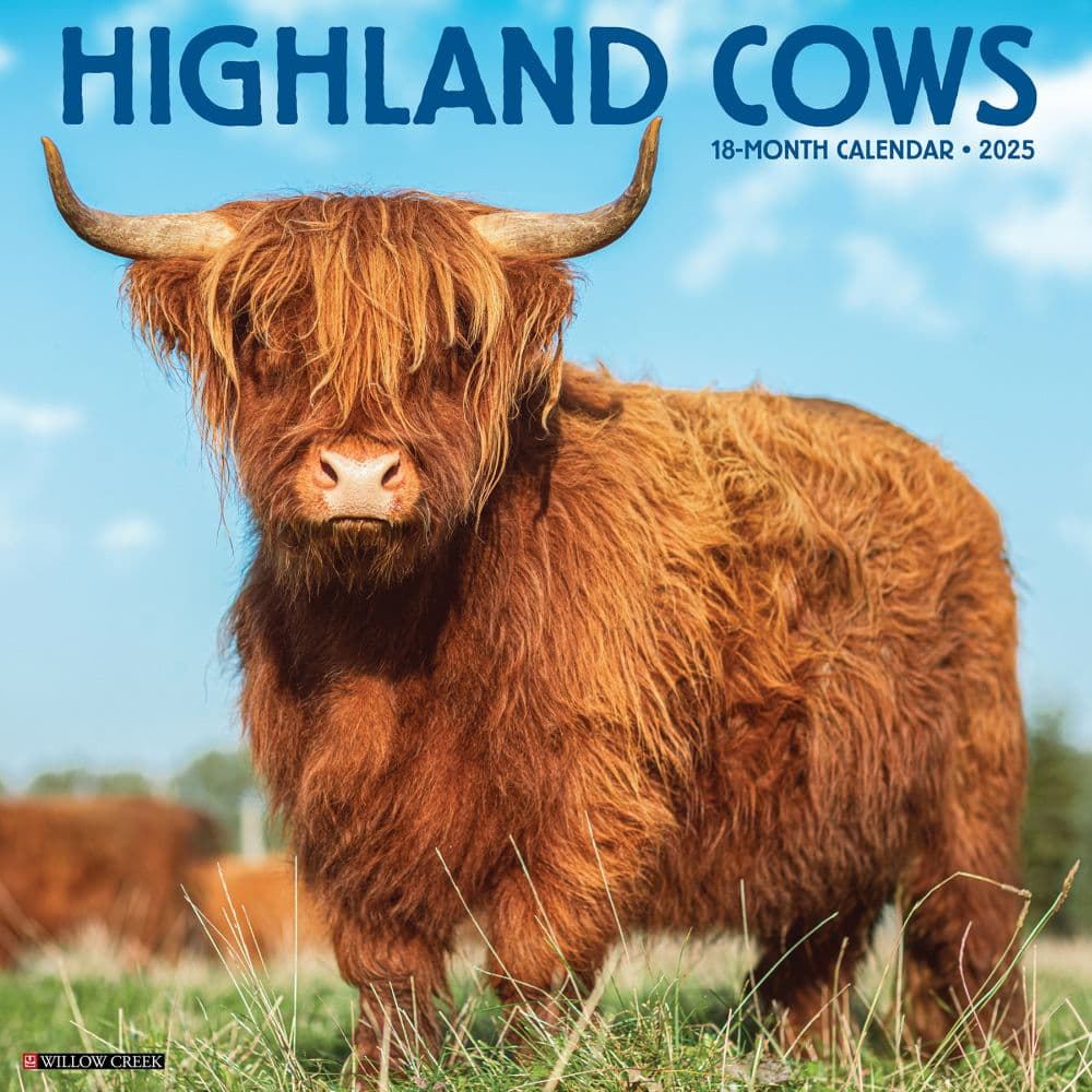 Highland Cows 2025 Wall Calendar Main Image