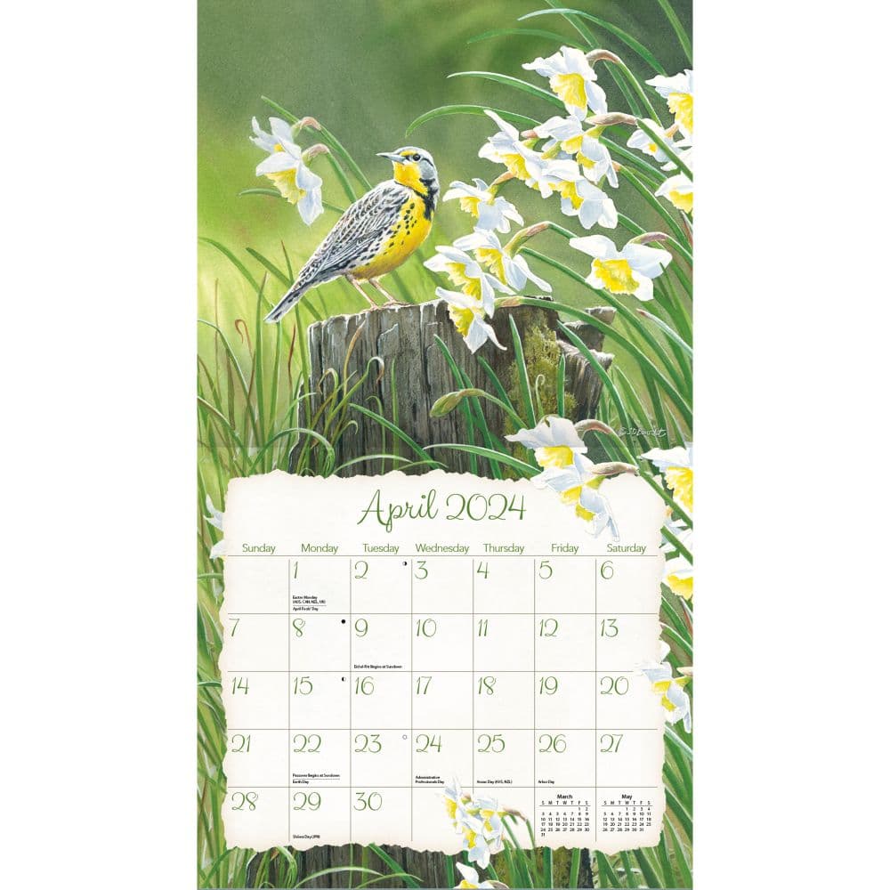 Songbirds 2024 Wall Calendar - Calendars.com