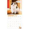 image Chonkers 2025 Wall Calendar Third Alternate Image width=&quot;1000&quot; height=&quot;1000&quot;