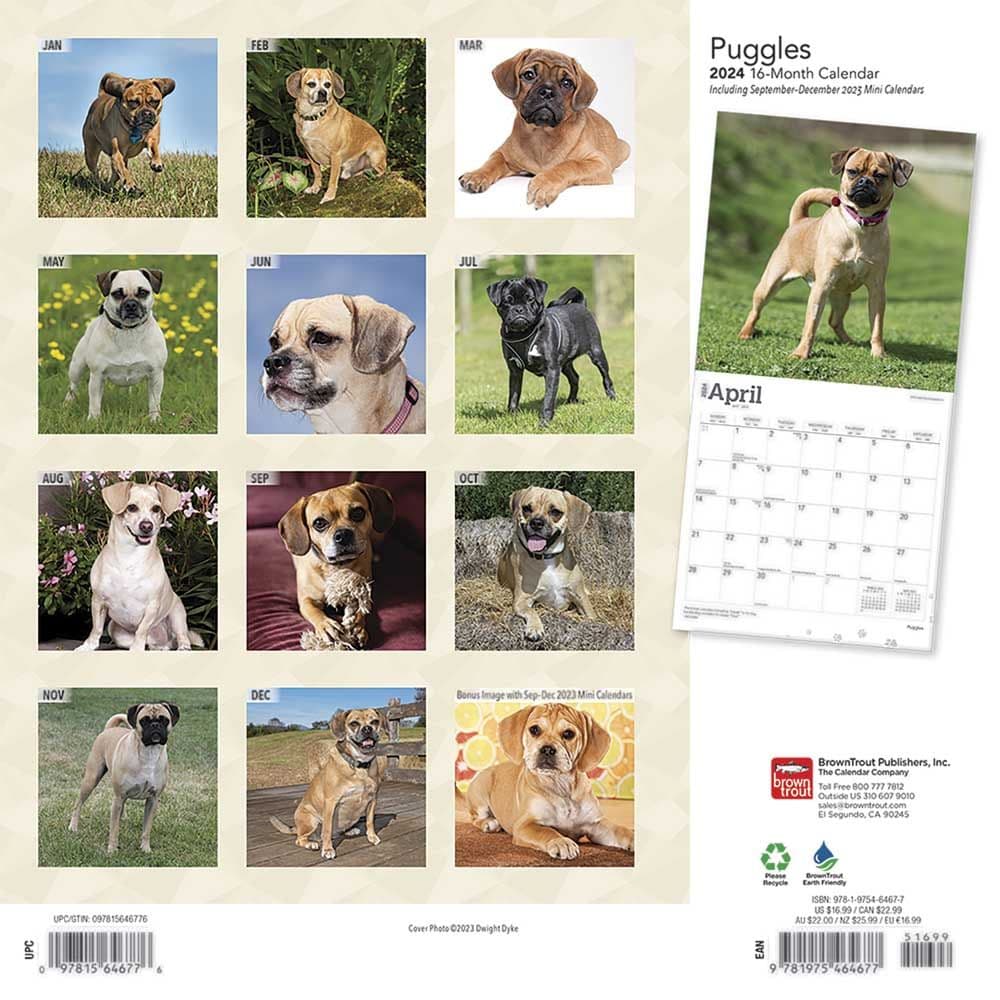 Puggles 2024 Wall Calendar