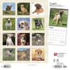 image Puggles 2024 Wall Calendar First Alternate Image width=&quot;1000&quot; height=&quot;1000&quot;