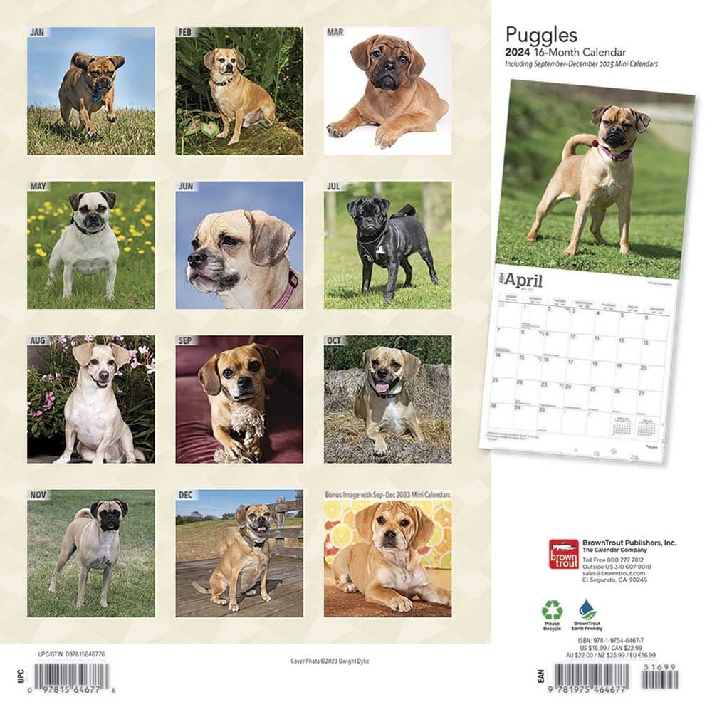 Puggles 2024 Wall Calendar First Alternate Image width=&quot;1000&quot; height=&quot;1000&quot;