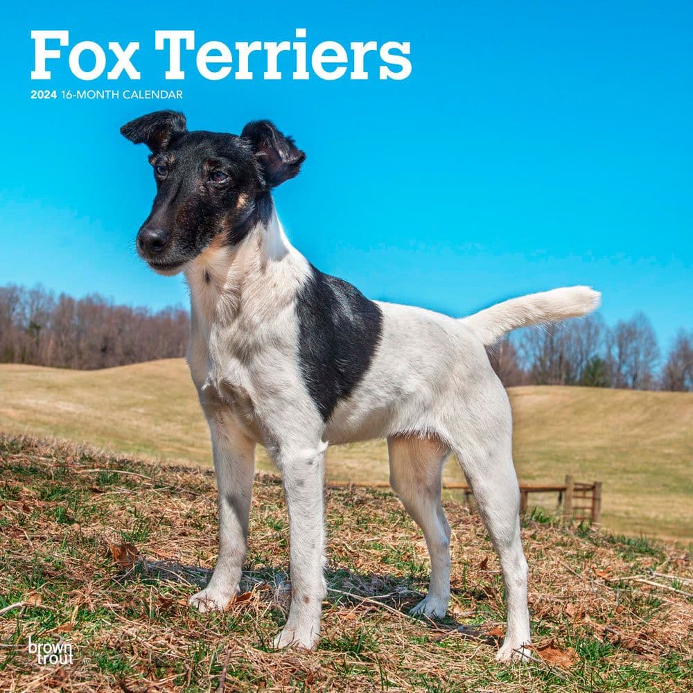 Fox Terriers 2025 Wall Calendar