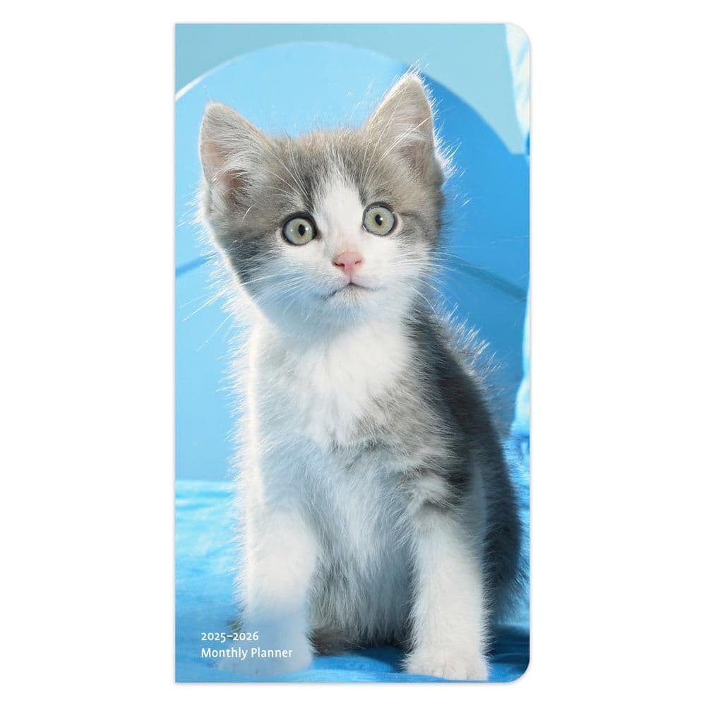 Kitten Cuddles 2 Year 2025 Pocket Planner