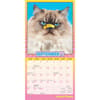 image Cranky Kitties Avanti 2025 Mini Wall Calendar