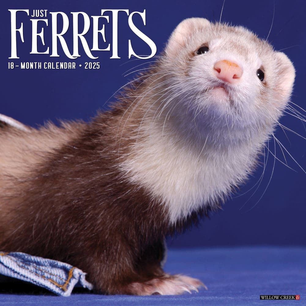 image Ferrets 2025 Wall Calendar Main Image