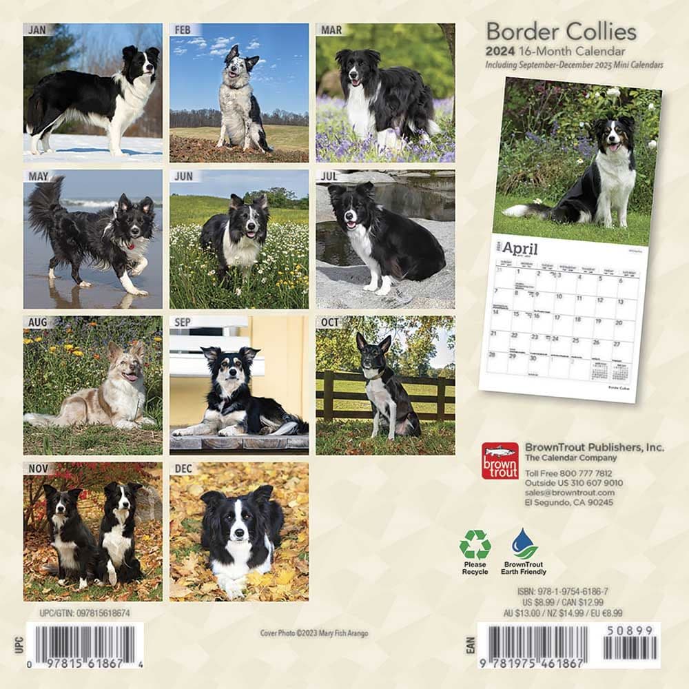 Border Collies 2024 Mini Wall Calendar