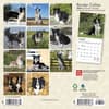 image Border Collies 2024 Mini Wall Calendar First Alternate Image width=&quot;1000&quot; height=&quot;1000&quot;