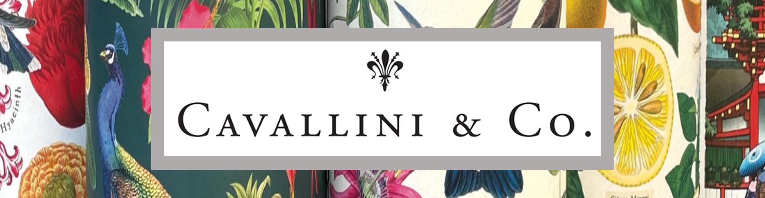 Cavallini Papers & Co.