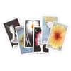 image The Wild Unknown Tarot Deck And Guidebook First Alternate Image  width="825" height="699"