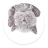 image Cat Nap Popgrip Main Image  width="825" height="699"