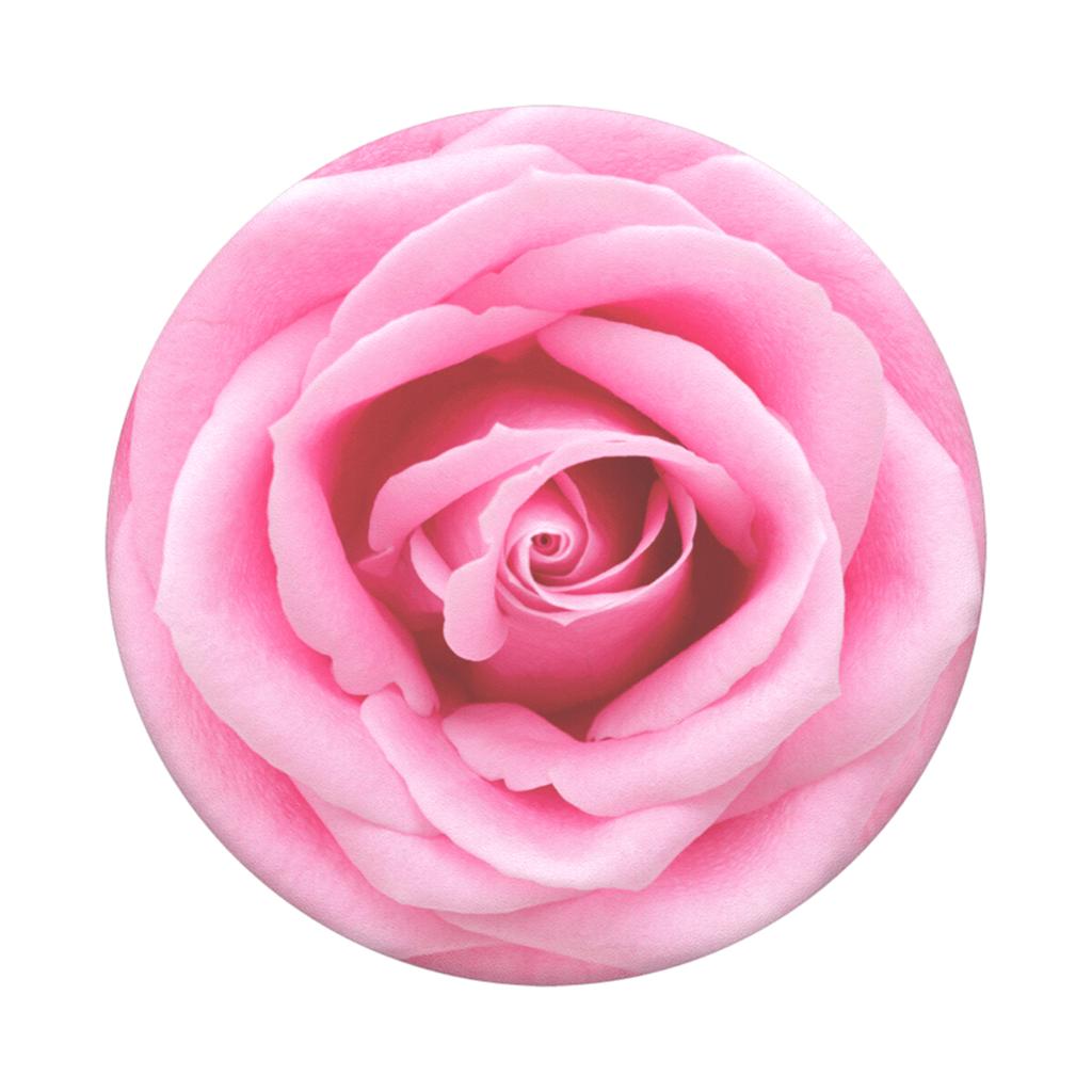 Rose All Day Popgrip Main Image  width="825" height="699"