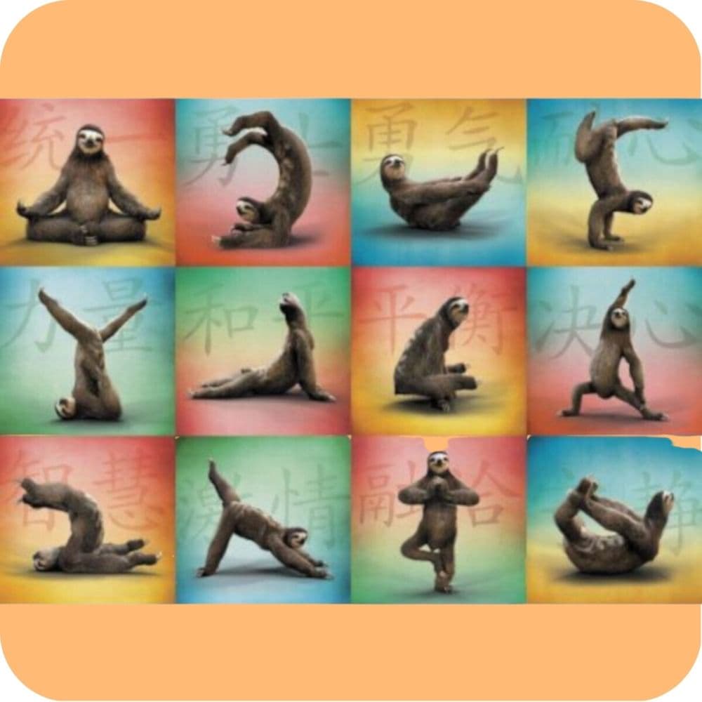 image Sloth Yoga 1000 Piece Puzzle
