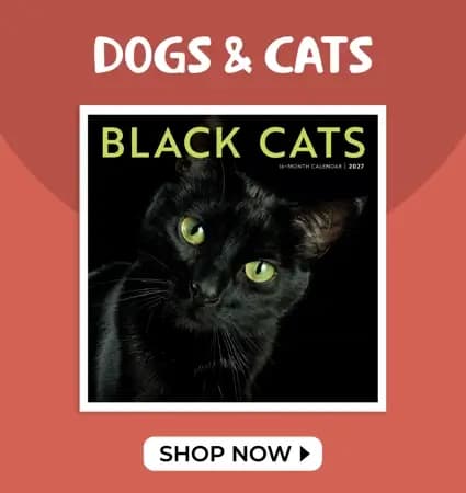 Calendars.com 2027 dog and cat wall calendars featuring Black Cats, Doodle Dogs, Bad Kitties, and Dogma