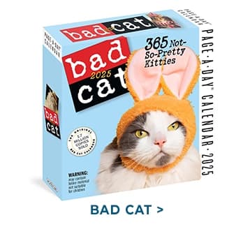 Bad Cat 2025 Page-a-Day Desk Calendar