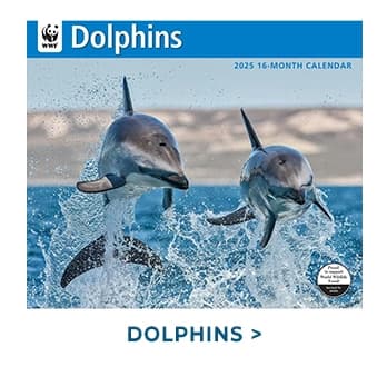 Dolphins WWF 2025 Wall Calendar