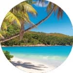 Shop for 2026 beach calendars with stunning tropical scenes