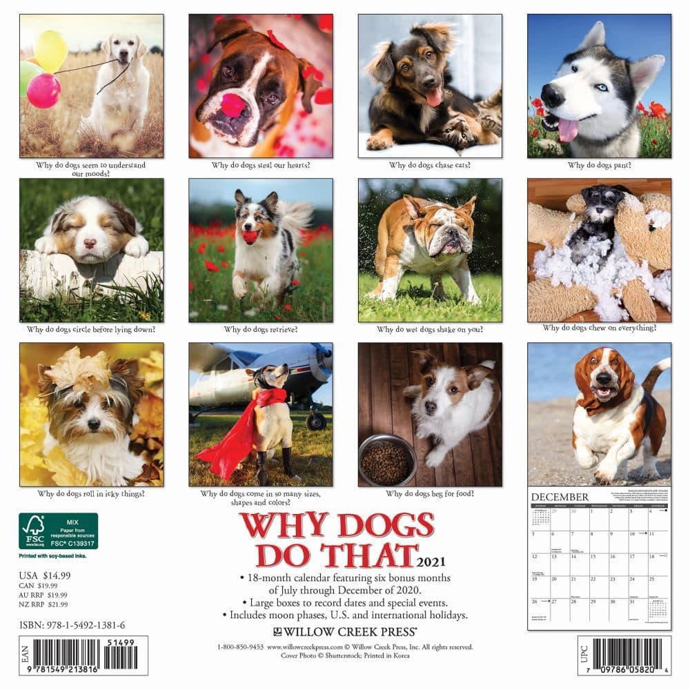 Why Dogs Do That Wall Calendar 709786058204 | eBay