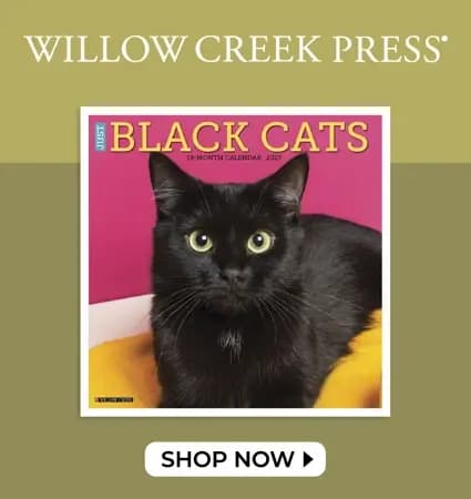 2027 Willow Creek Press calendars - Shop Now