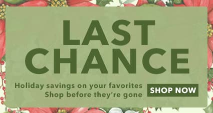 Hurry—these deals won't last! Last chance to save on your favorite LANG products. Shop now for low prices on all your LANG favorites.