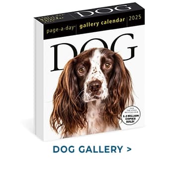 Dog Gallery 2025 Page-a-Day Desk Calendar