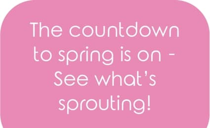 The countdown to spring is on! Explore fresh new arrivals for the season.