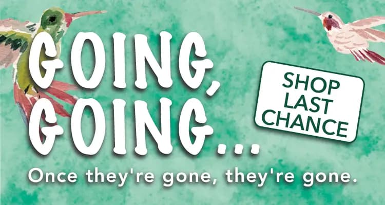 Hurry—these deals won't last! Last chance to save on your favorite LANG products. Shop now for low prices on all your LANG favorites.