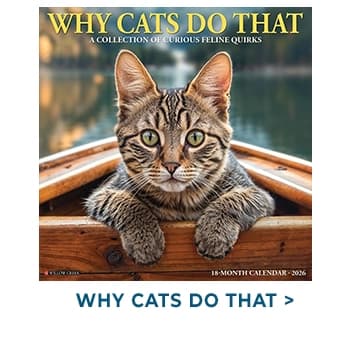 Why Cats Do That 2026 Wall Calendar
