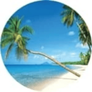 Shop 2027 beach calendars