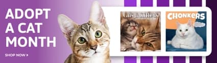 Shop Cats at Calendars.com!