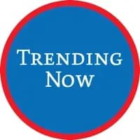Discover trending calendars and popular picks