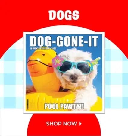 Sit, stay, schedule! Shop dog calendars featuring vacation pups, pool parties, and tail-wagging fun.