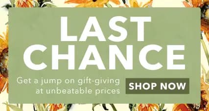 Hurry—these deals won't last! Last chance to save on your favorite LANG products. Shop now for low prices on all your LANG favorites.