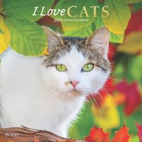 I Love Cats 2024 Wall Calendar