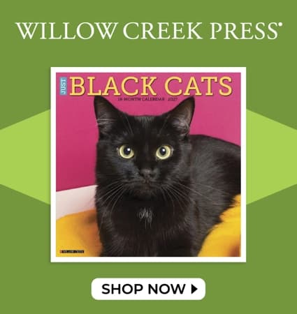 2027 Willow Creek Press calendars - Shop Now