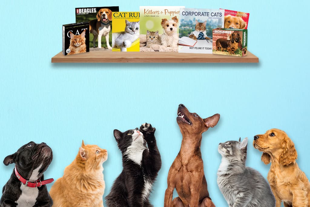 The best pet calendars of 2026 including dogs, cats, horses, farm animals and small pets