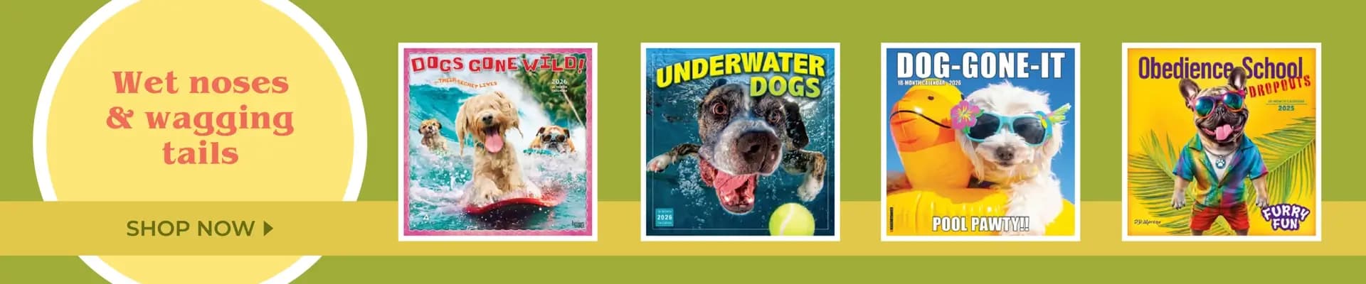 Wet noses and wagging tails — shop dog calendars featuring silly pups, pool fun, and furry friends in action.