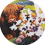 Shop puzzles for all ages and interests