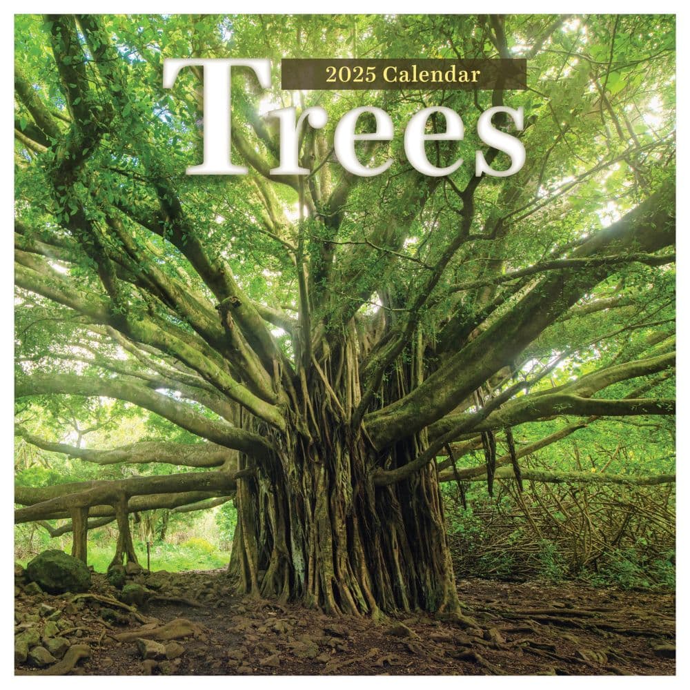 Trees 2025 Wall Calendar