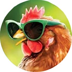 Shop 2027 Funny Animals