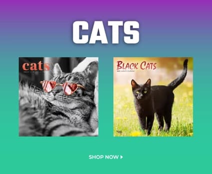 2025 Cats calendars featuring a black cat, sunglasses-wearing tabby, and cat memes, including Meow Memes and Page-A-Day.