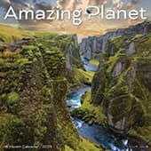 Amazing Planet 2025 Wall Calendar
