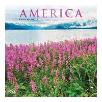 America 2025 Wall Calendar