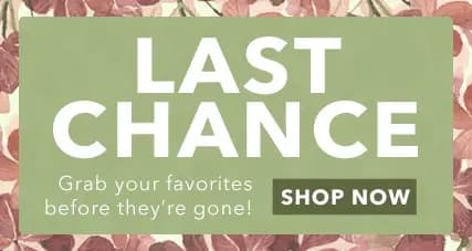 Hurry—these deals won't last! Last chance to save up to 50% on your favorite LANG products. Shop now for low prices on all your LANG favorites.