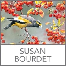 Shop Susan Bourdet at Lang by Calendars.com