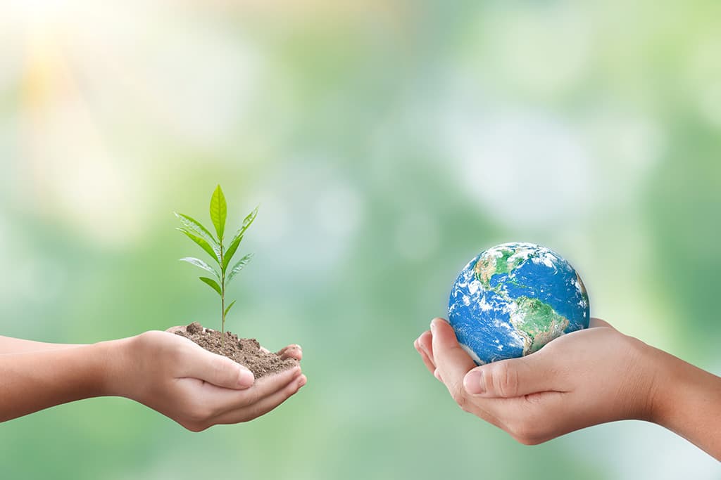 Eco-friendly calendars for 2026