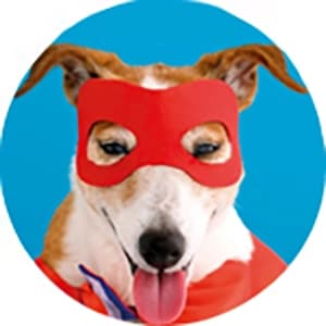 Shop 2027 Funny Animals